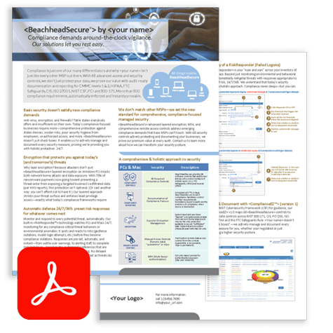 Brandable BeachheadSecure Platform Overview PDF